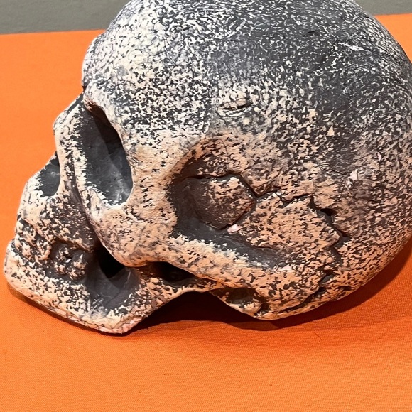 Gray and White Skull Decor Set - Picture 10 of 15